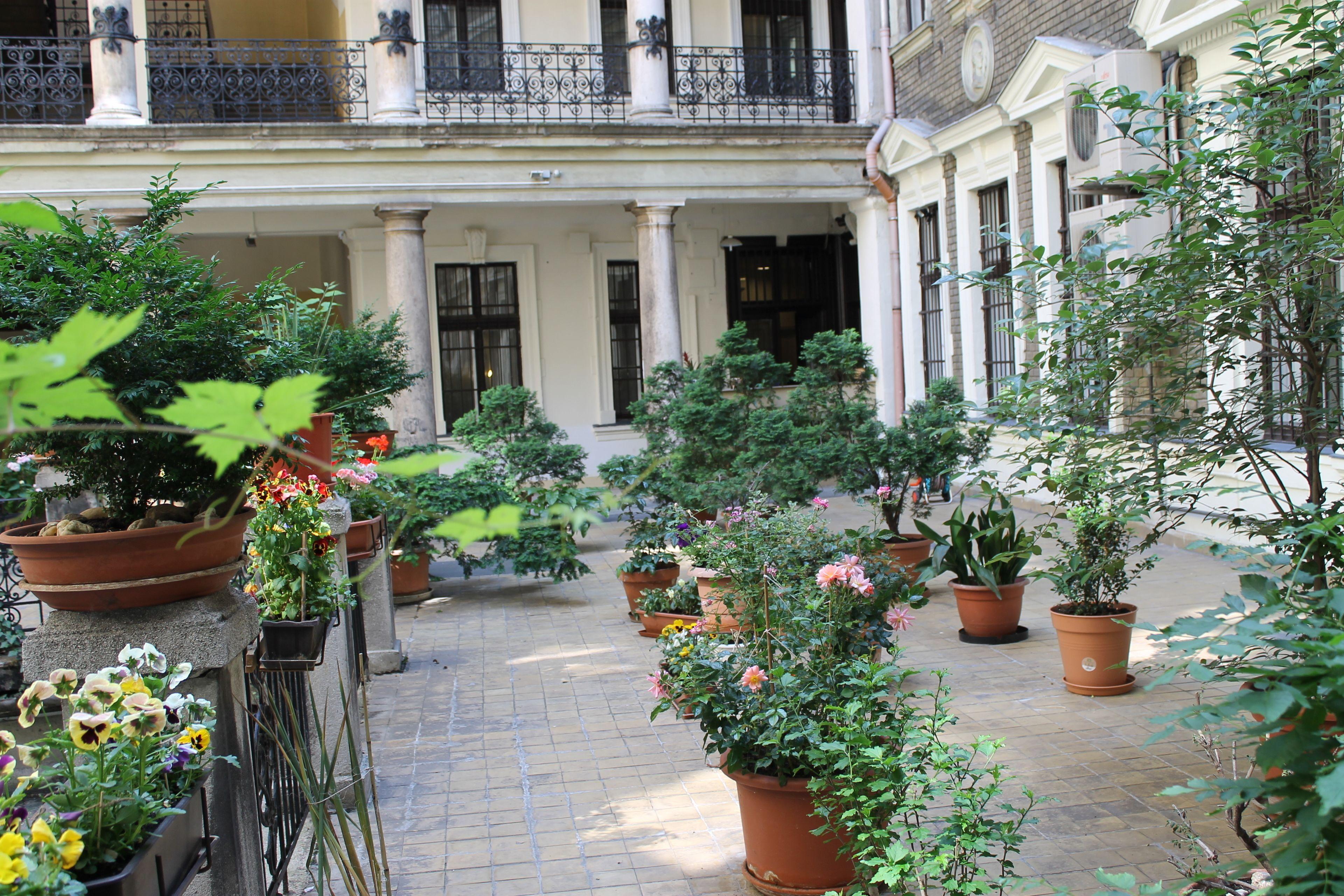 Omega Guesthouse Budapest — Photos 1